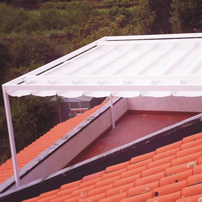 Toldo